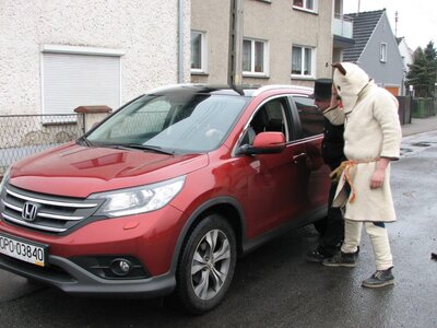 Niedźwiedź Szczedrzyk (4)